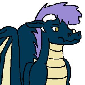 Meet your Posher, Mikaila